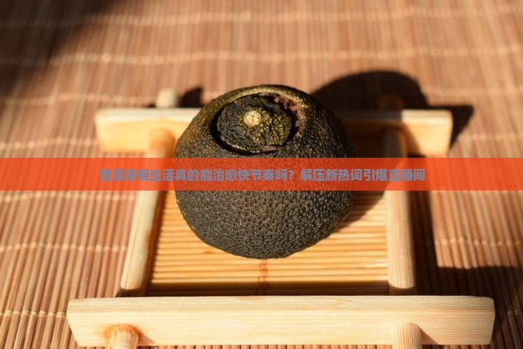 普洱茶慢生活直播