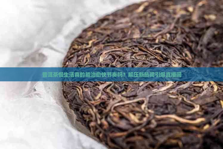 普洱茶慢生活直播