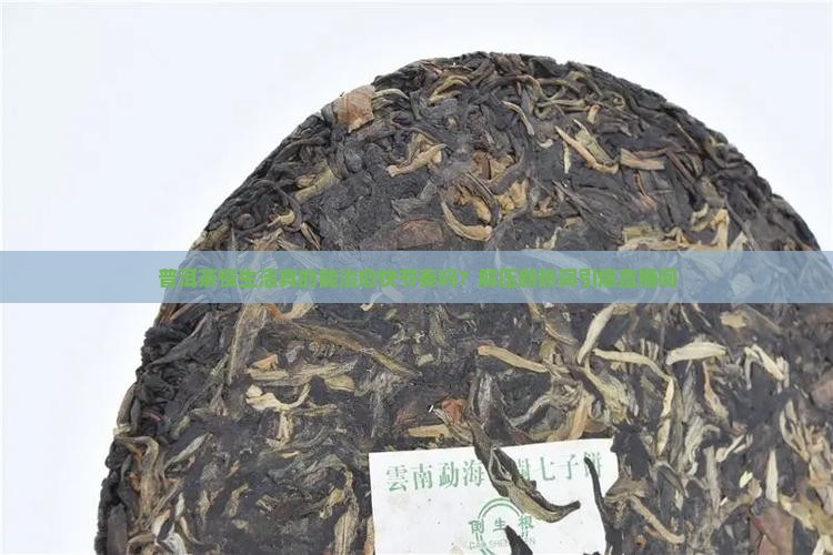 普洱茶慢生活直播