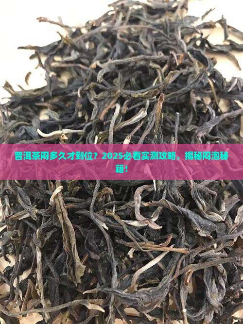 普洱茶要闷多久