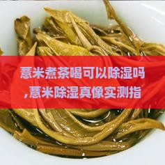 薏米煮茶喝可以除湿吗