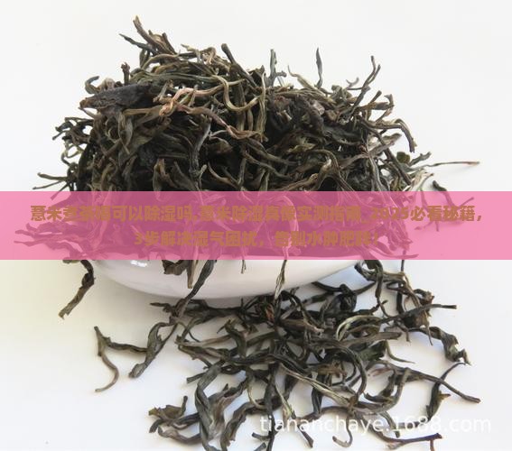 薏米煮茶喝可以除湿吗