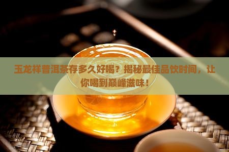玉龙祥普洱茶存多久好喝