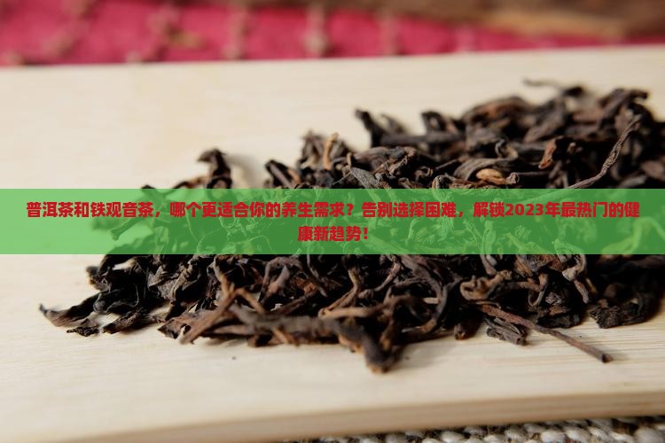 普洱茶和铁观音茶