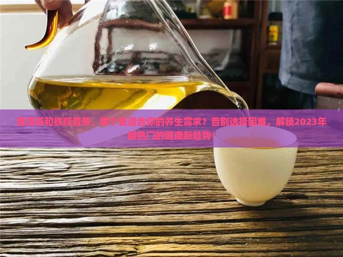 普洱茶和铁观音茶