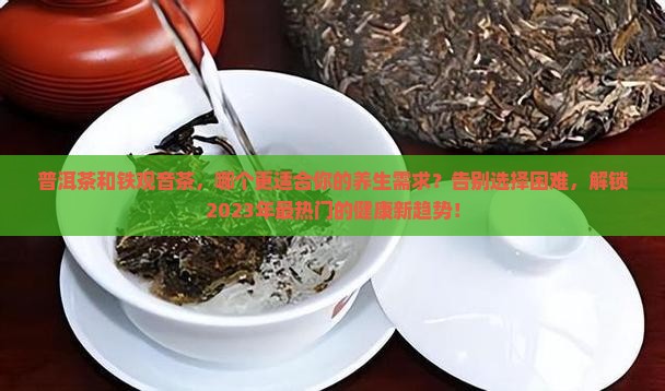 普洱茶和铁观音茶