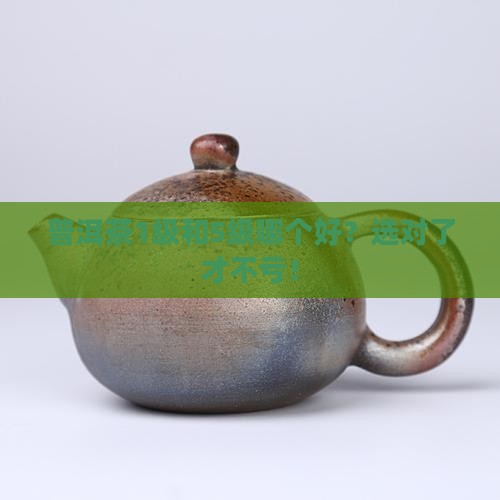 普洱茶1级和5级哪个好