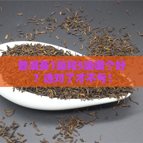 普洱茶1级和5级哪个好