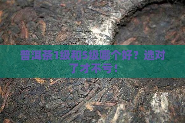 普洱茶1级和5级哪个好