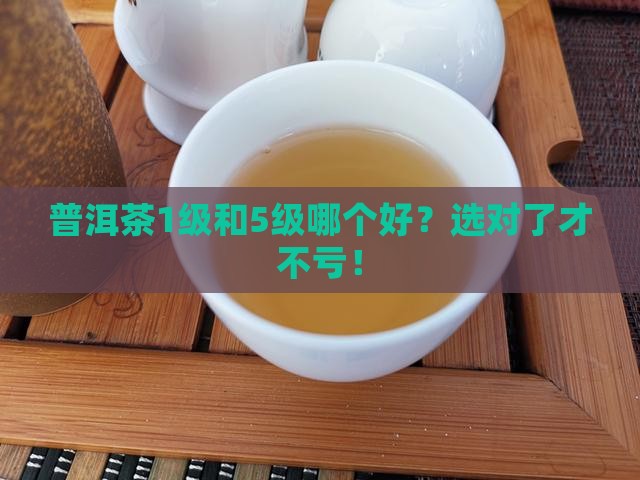普洱茶1级和5级哪个好