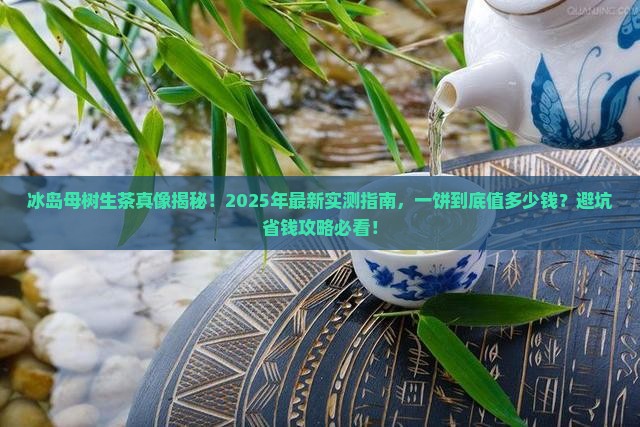 冰岛母树生茶多少钱一饼