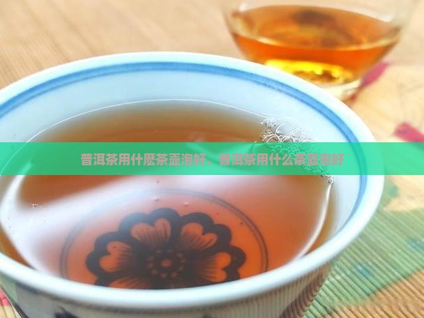 普洱茶用什麽茶壶