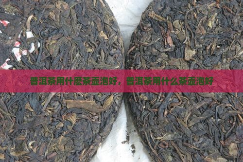 普洱茶用什麽茶壶