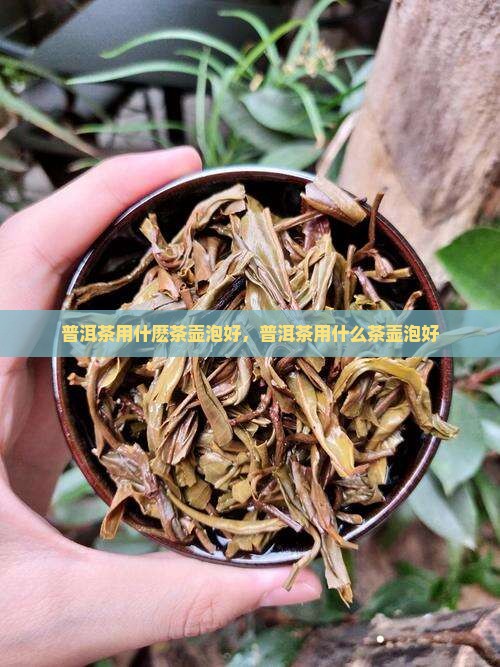 普洱茶用什麽茶壶