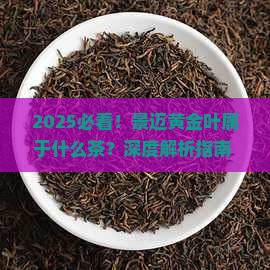 景迈黄金叶属于什么茶