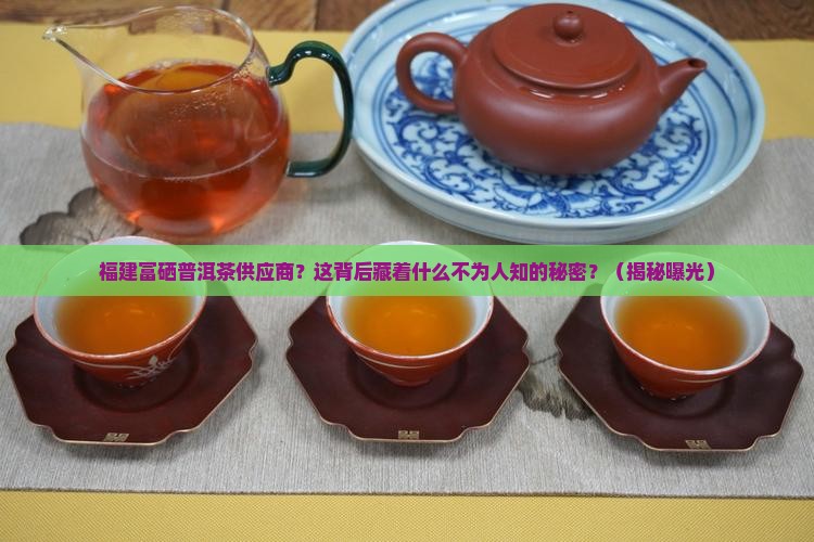 福建富硒普洱茶供应商