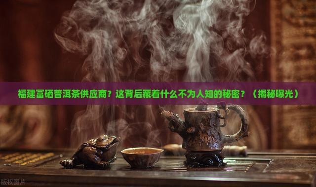 福建富硒普洱茶供应商