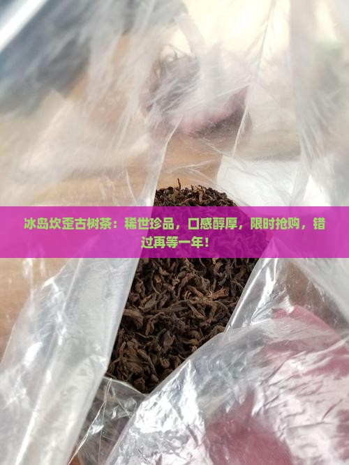 冰岛坎歪古树茶