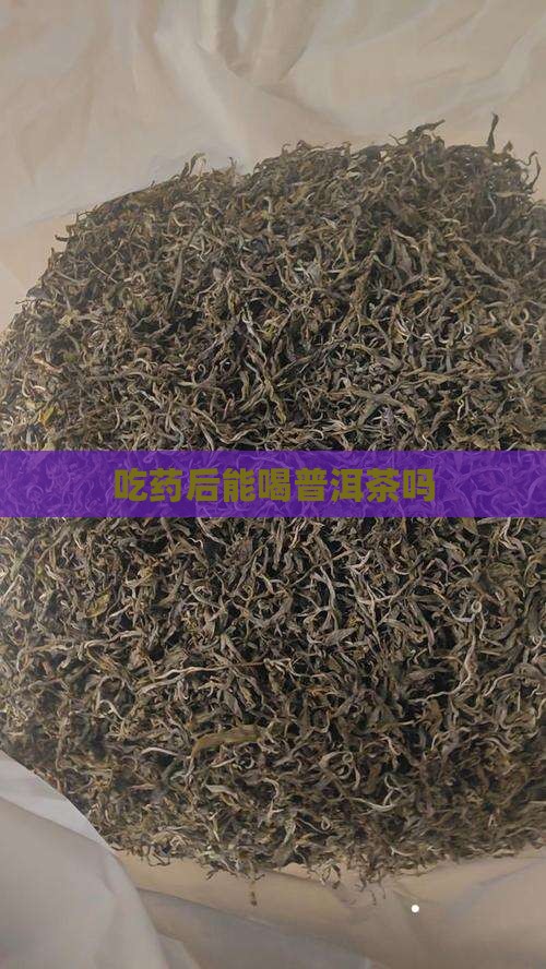 吃药后能喝普洱茶吗