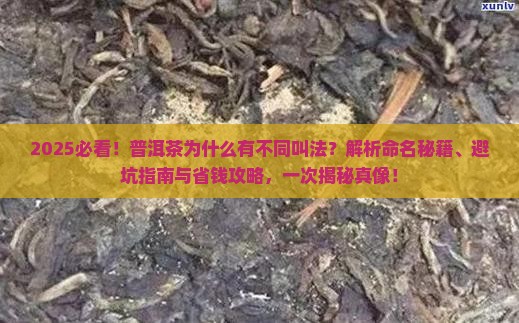 普洱茶为什么有不同叫法