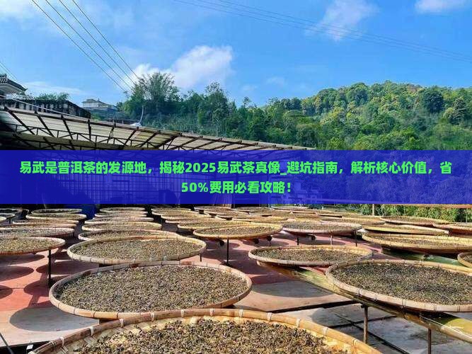 易武是普洱茶的发源地