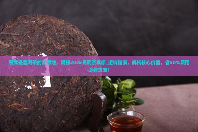 易武是普洱茶的发源地