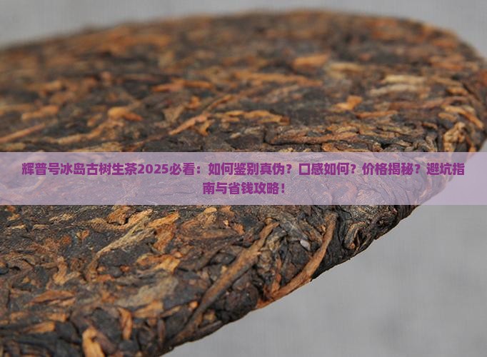 辉普号冰岛古树生茶