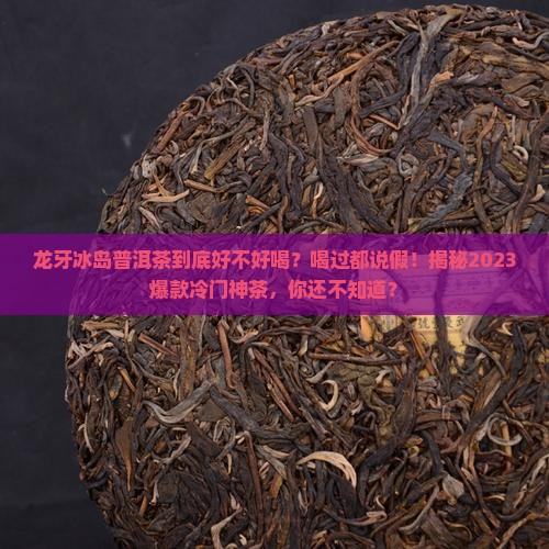 龙牙冰岛普洱茶怎么样好喝吗