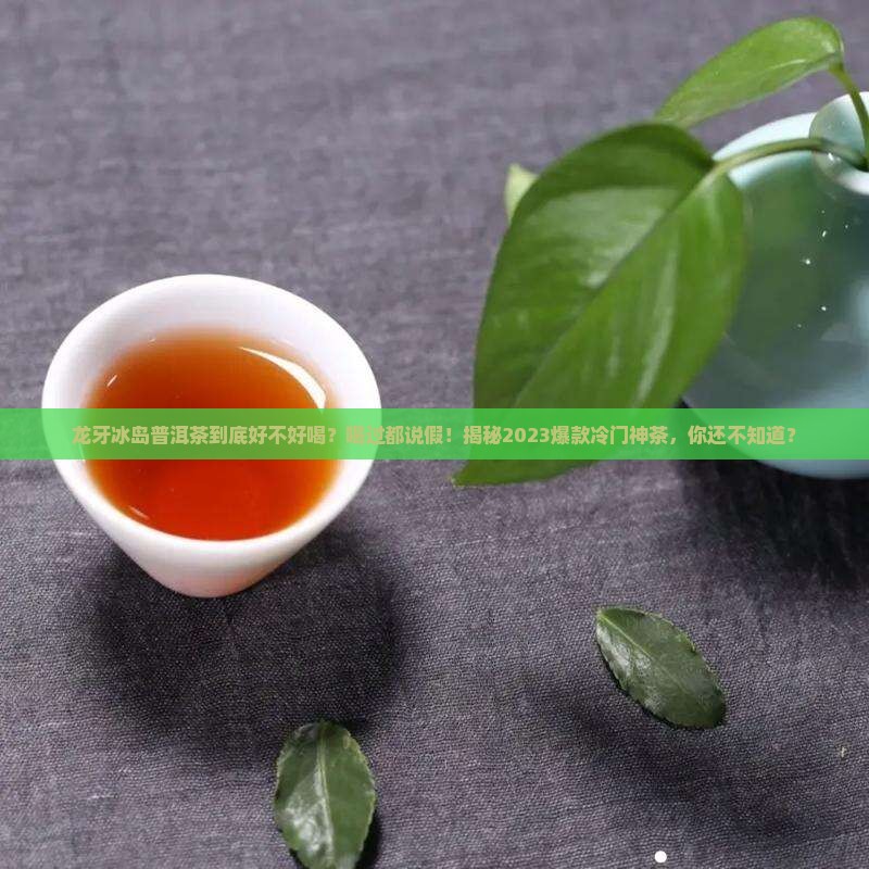 龙牙冰岛普洱茶怎么样好喝吗