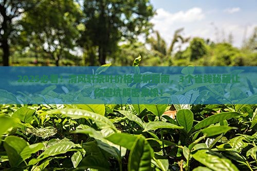 清风轩茶叶价格