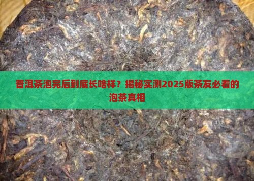 普洱茶泡完后是什么样的茶