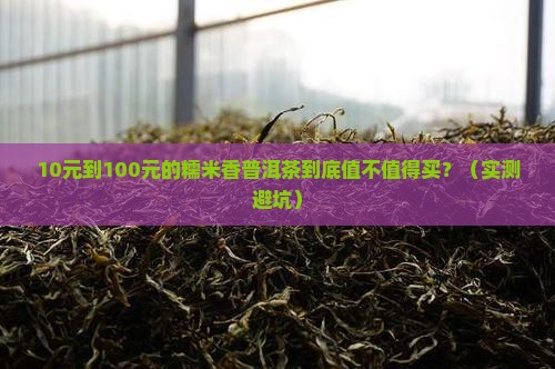 好的糯米香普洱茶价位