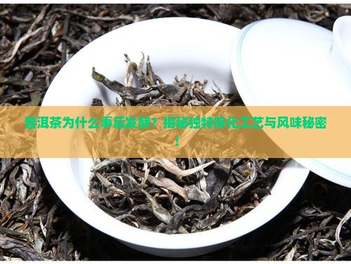 普洱茶为什么事后发酵