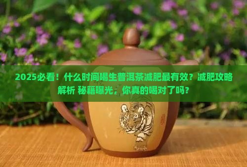 什么时间喝喝生普洱茶减肥
