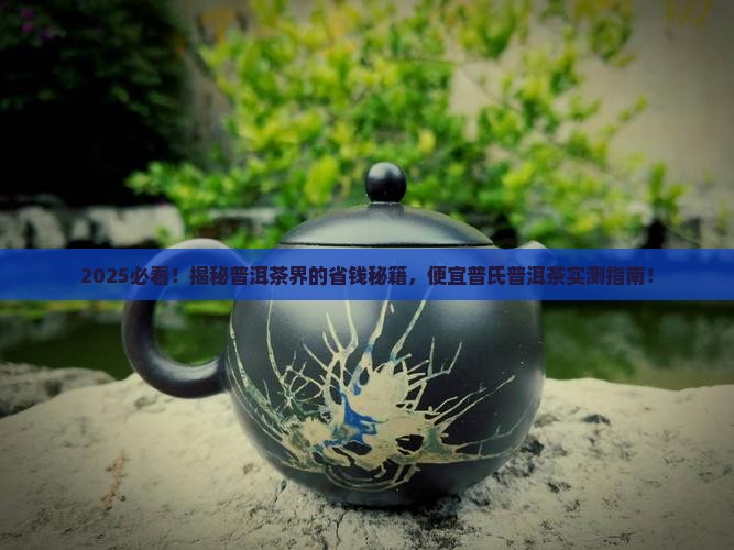 普洱茶便宜普氏普洱茶