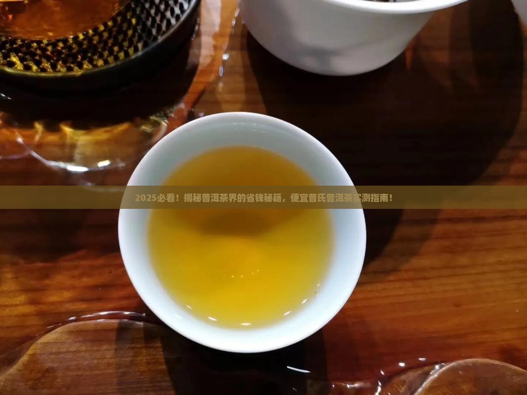 普洱茶便宜普氏普洱茶