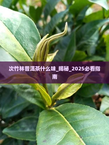 次竹林普洱茶什么味