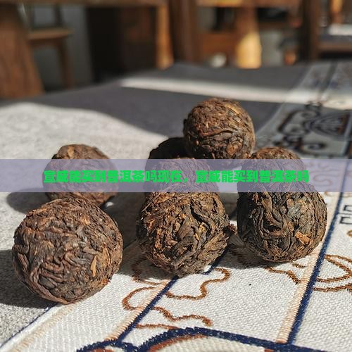 宣威能买到普洱茶吗