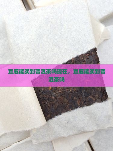 宣威能买到普洱茶吗