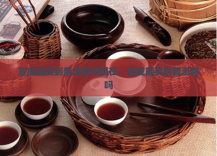 宣威能买到普洱茶吗