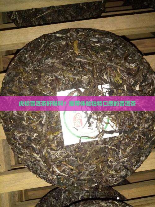 虎标普洱茶好喝吗
