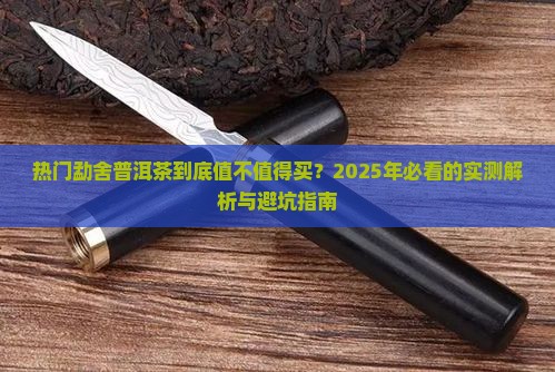 热门勐舍普洱茶怎么样