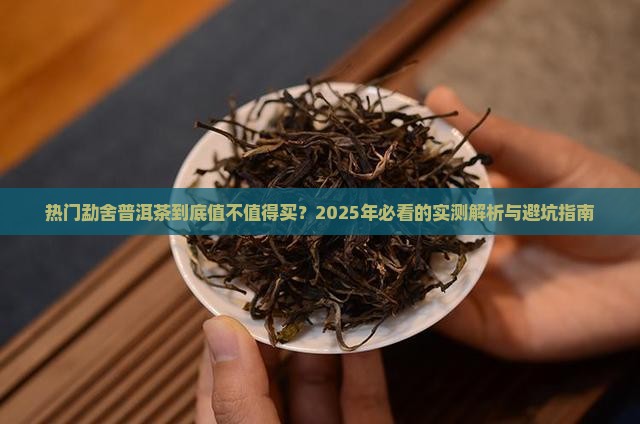 热门勐舍普洱茶怎么样