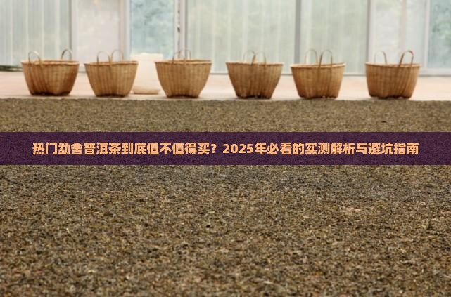 热门勐舍普洱茶怎么样
