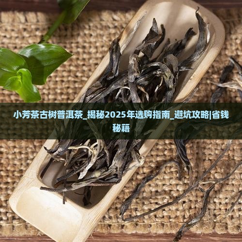 小芳茶古树普洱茶