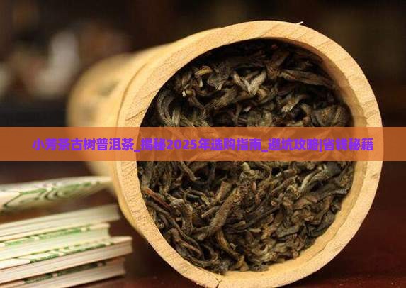 小芳茶古树普洱茶