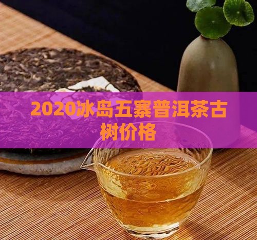 2020冰岛五寨茶价格