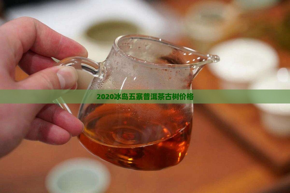 2020冰岛五寨茶价格