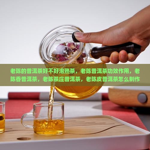 老陈的普洱茶好不好泡熟