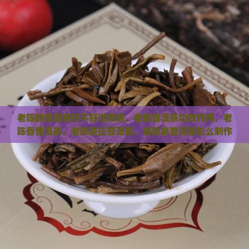 老陈的普洱茶好不好泡熟
